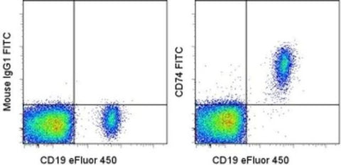 CD74 Monoclonal Antibody (5-329), FITC, eBioscience