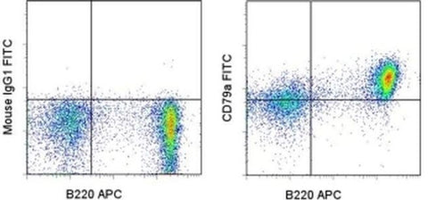 CD79a Monoclonal Antibody (24C2.5), FITC, eBioscience