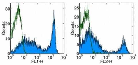 CD90.2 (Thy-1.2) Monoclonal Antibody (53-2.1), FITC, eBioscience