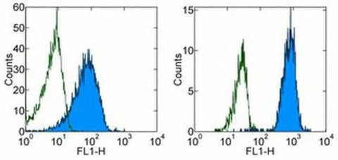 CD102 (ICAM-2) Monoclonal Antibody (CBR-IC2/2), FITC, eBioscience