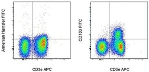 CD103 (Integrin alpha E) Monoclonal Antibody (2E7), FITC, eBioscience