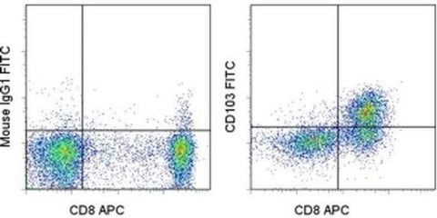CD103 (Integrin alpha E) Monoclonal Antibody (Ber-ACT8), FITC, eBioscience