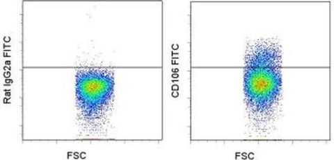 CD106 (VCAM-1) Monoclonal Antibody (429), FITC, eBioscience