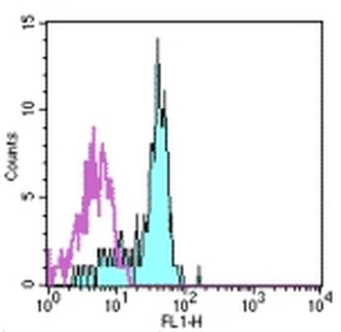 CD116 Monoclonal Antibody (4H1), FITC, eBioscience