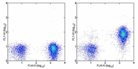 CD127 Monoclonal Antibody (eBioRDR5), FITC, eBioscience