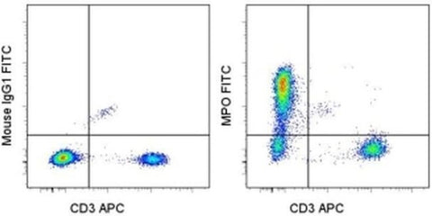 Myeloperoxidase (MPO) Monoclonal Antibody (MPO455-8E6), FITC, eBioscience