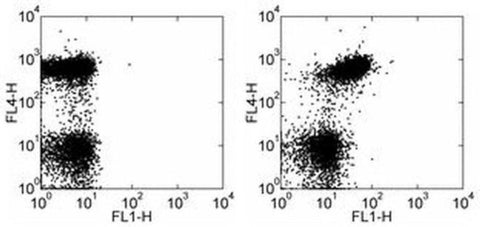 CD150 Monoclonal Antibody (9D1), FITC, eBioscience