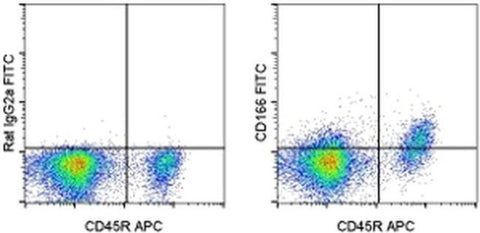 CD166 (ALCAM) Monoclonal Antibody (eBioALC48), FITC, eBioscience