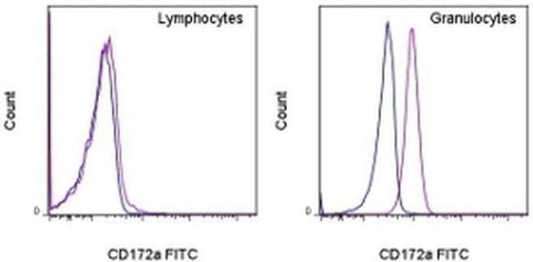 CD172a (SIRP alpha) Monoclonal Antibody (15-414), FITC, eBioscience