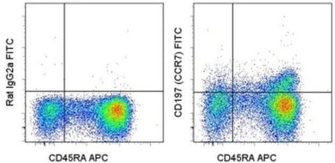 CD197 (CCR7) Monoclonal Antibody (3D12), FITC, eBioscience