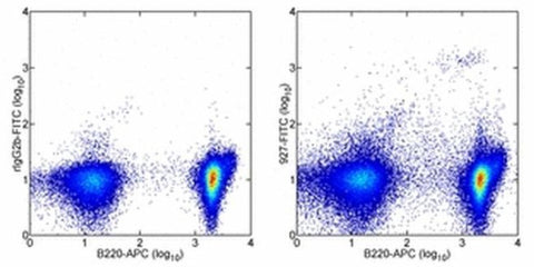 CD317 (BST2, PDCA-1) Monoclonal Antibody (eBio927), FITC, eBioscience