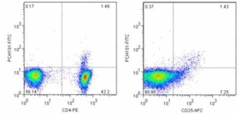 FOXP3 Monoclonal Antibody (PCH101), FITC, eBioscience