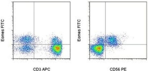 EOMES Monoclonal Antibody (WD1928), FITC, eBioscience