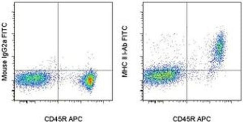MHC Class II I-Ab Monoclonal Antibody (AF6-120.1), FITC, eBioscience