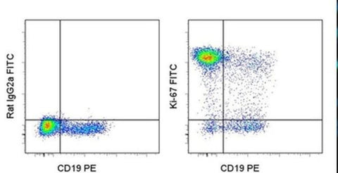 Ki-67 Monoclonal Antibody (SolA15), FITC, eBioscience