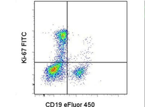 Ki-67 Monoclonal Antibody (20Raj1), FITC, eBioscience