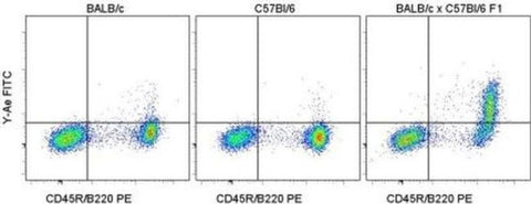 Ea52-68 peptide bound to I-Ab Monoclonal Antibody (eBioY-Ae (YAe, Y-Ae)), FITC, eBioscience