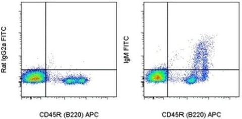 IgM Monoclonal Antibody (II/41), FITC, eBioscience