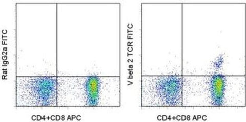 TCR V beta 2 Monoclonal Antibody (B20.6), FITC, eBioscience
