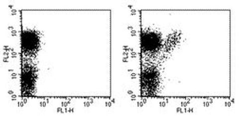 TCR gamma/delta Monoclonal Antibody (UC7-13D5), FITC, eBioscience