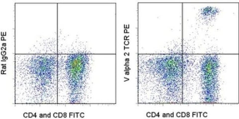 TCR V alpha 2 Monoclonal Antibody (B20.1), FITC, eBioscience