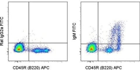 IgM Monoclonal Antibody (eB121-15F9), FITC, eBioscience