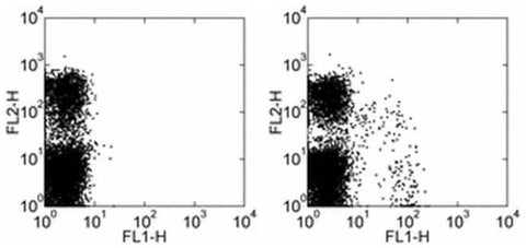 NKG2A/C/E Monoclonal Antibody (20d5), FITC, eBioscience