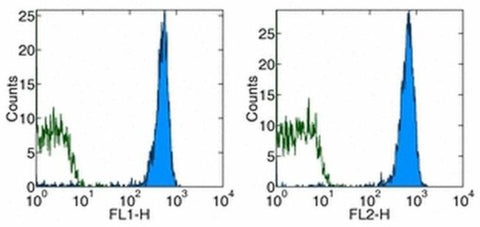 TER-119 Monoclonal Antibody (TER-119), FITC, eBioscience