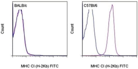 MHC Class I (H-2Kb) Monoclonal Antibody (AF6-88.5.5.3), FITC, eBioscience