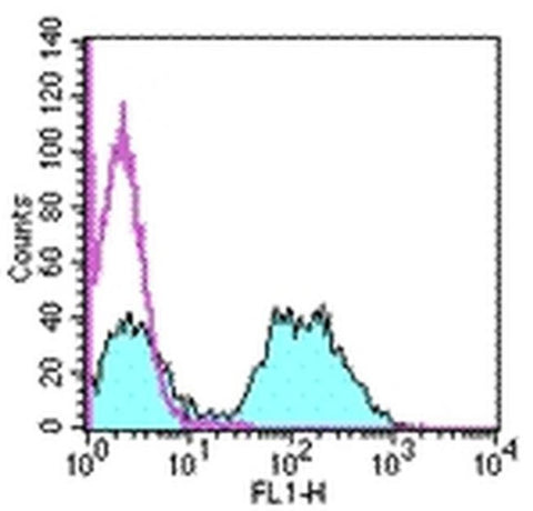 MHC Class II (I-Ek) Monoclonal Antibody (14-4-4S), FITC, eBioscience