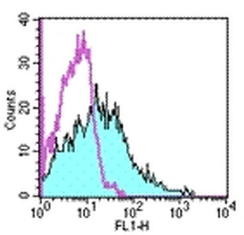 CD107b (LAMP-2) Monoclonal Antibody (M3/84), FITC, eBioscience