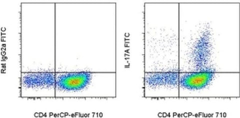 IL-17A Monoclonal Antibody (eBio17B7), FITC, eBioscience