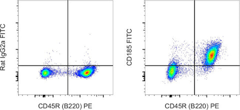 CD185 (CXCR5) Monoclonal Antibody (SPRCL5), FITC, eBioscience