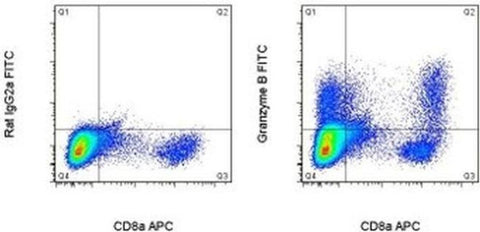 Granzyme B Monoclonal Antibody (NGZB), FITC, eBioscience