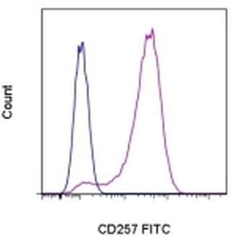 CD257 (BAFF, BLyS) Monoclonal Antibody (1D6), FITC, eBioscience