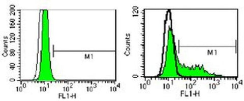 CD289 (TLR9) Monoclonal Antibody (M9.D6), FITC, eBioscience