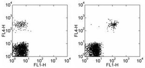CD268 (BAFF Receptor) Monoclonal Antibody (8A7), FITC, eBioscience