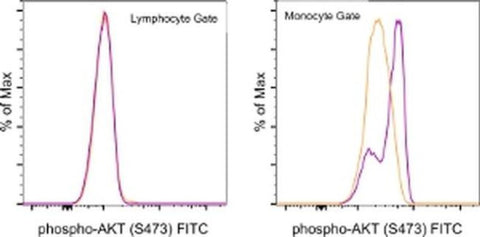 Phospho-AKT1 (Ser473) Monoclonal Antibody (SDRNR), FITC, eBioscience