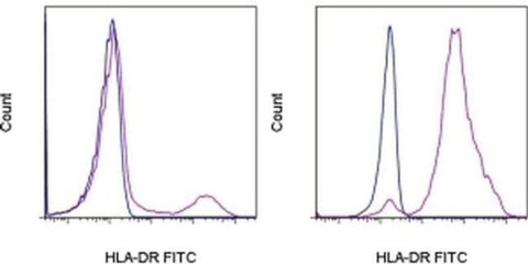 HLA-DR Monoclonal Antibody (L243), FITC, eBioscience