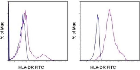 HLA-DR Monoclonal Antibody (LN3), FITC, eBioscience