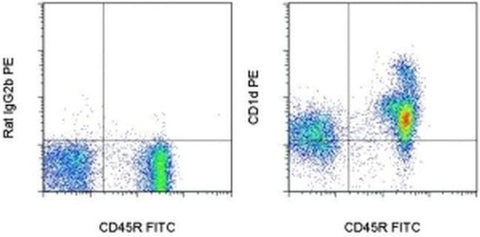 CD1d Monoclonal Antibody (1B1), PE, eBioscience