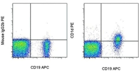 CD1d Monoclonal Antibody (51.1), PE, eBioscience