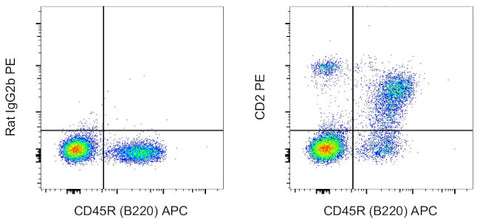 CD2 Monoclonal Antibody (RM2-5), PE, eBioscience