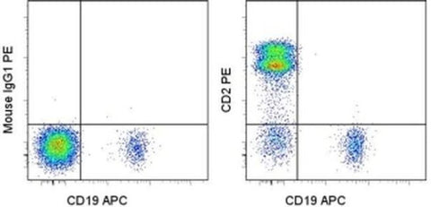 CD2 Monoclonal Antibody (RPA-2.10), PE, eBioscience