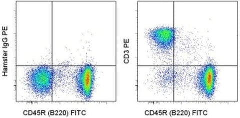 CD3e Monoclonal Antibody (145-2C11), PE, eBioscience