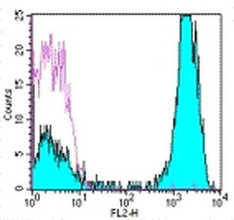 CD3 Monoclonal Antibody (OKT3), PE, eBioscience