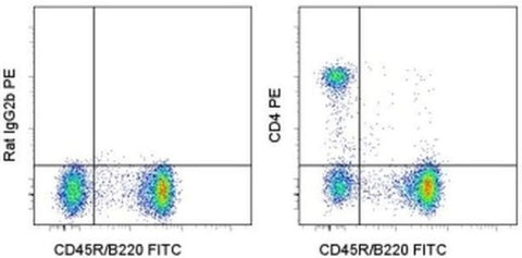 CD4 Monoclonal Antibody (GK1.5), PE, eBioscience