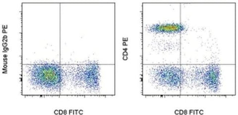 CD4 Monoclonal Antibody (OKT4 (OKT-4)), PE, eBioscience