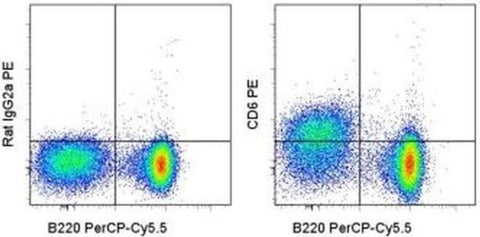 CD6 Monoclonal Antibody (IM348), PE, eBioscience