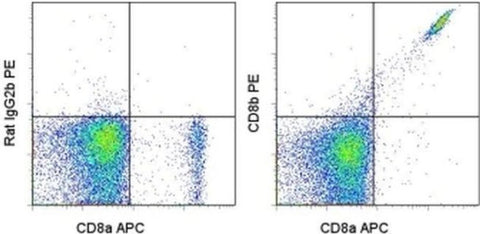 CD8b Monoclonal Antibody (eBioH35-17.2 (H35-17.2)), PE, eBioscience